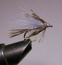 ���� ������ Wet fly 